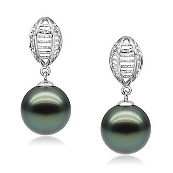 tah-b-aaa-1011-e-cageegg-01-m
