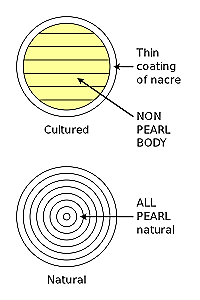 cultured pearls infographic