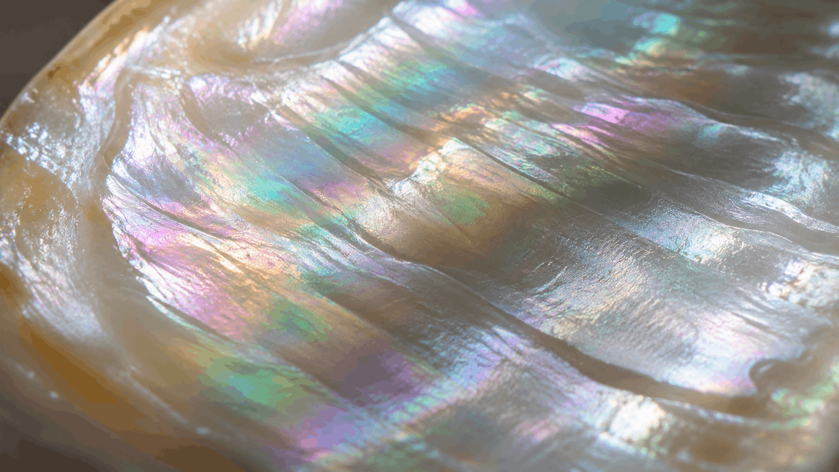 01. What Mother of Pearl Actually Is and Why It Needs Careful Cleaning