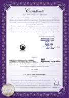 product certificate: AK-B-AA-67-L1