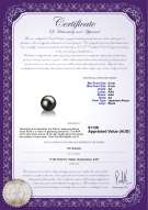 product certificate: AK-B-AA-89-L1