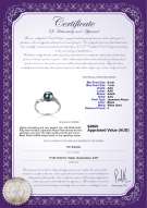 product certificate: AK-B-AAA-67-R-Andrea