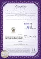 product certificate: AK-W-AAA-78-L1