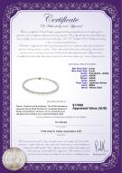 product certificate: AK-W-AAAA-69-N-Hana-18