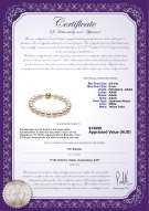 product certificate: AK-W-AAAA-859-B-Hana-75