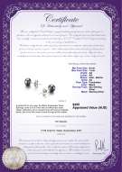 product certificate: B-AA-67-E