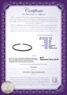 product certificate: B-AA-67-N