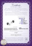 product certificate: B-AA-78-E-SS-14K-WGP