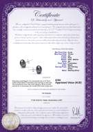 product certificate: B-AA-910-E-SS