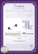 product certificate: B-AAA-657-E-Akoy