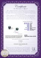 product certificate: B-AAA-758-E-Akoy