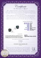 product certificate: B-AAA-859-E-Akoy
