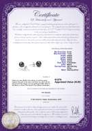 product certificate: B-AAAA-67-E
