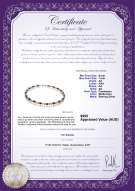 product certificate: BPW-AA-67-N
