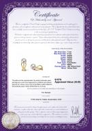 product certificate: CE1W080-18Y