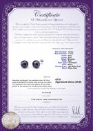 product certificate: FE6BL10F-W