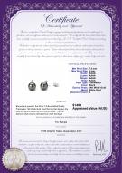 product certificate: FSA2BG075-W