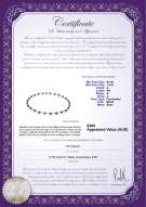 product certificate: FW-B-A-67-N-Atina