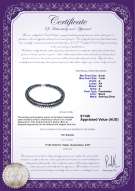 product certificate: FW-B-A-67-N-DBL