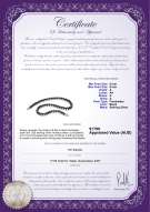 product certificate: FW-B-A-89-N-Sinead