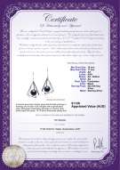 product certificate: FW-B-AA-1011-E-Nichelle