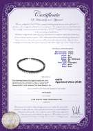 product certificate: FW-B-AA-1011-N