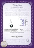 product certificate: FW-B-AA-1213-P-Oceane