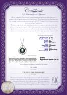 product certificate: FW-B-AA-1213-P-Zina
