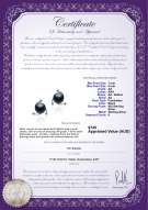 product certificate: FW-B-AA-78-E-Selene