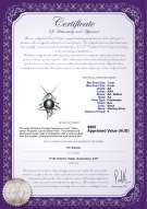product certificate: FW-B-AA-78-P-Fishbone