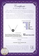 product certificate: FW-B-AA-89-N-Madison