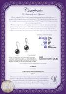 product certificate: FW-B-AA-910-E-Holly