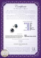 product certificate: FW-B-AA-910-E-Kelly