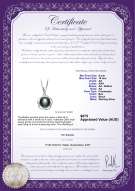 product certificate: FW-B-AA-910-P-Bobbie