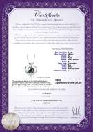 product certificate: FW-B-AA-910-P-Marlina