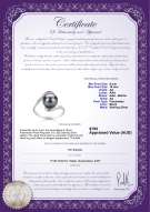 product certificate: FW-B-AA-910-R-Chantel