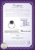 product certificate: FW-B-AA-910-R-Katie