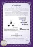 product certificate: FW-B-AA-910-S-Isabella