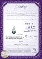 product certificate: FW-B-AAA-1011-P-Bebra
