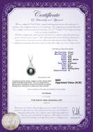 product certificate: FW-B-AAA-1011-P-Lori