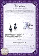 product certificate: FW-B-AAA-611-E-Zelda