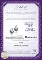 product certificate: FW-B-AAA-78-E-Bikita