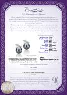 product certificate: FW-B-AAA-78-E-Klarita