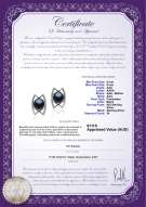 product certificate: FW-B-AAA-89-E-Odelia