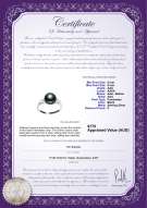 product certificate: FW-B-AAA-89-R-Dacey