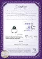product certificate: FW-B-AAA-89-R-Erica