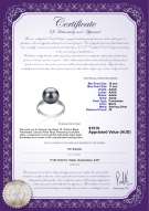 product certificate: FW-B-AAAA-1011-R-Oana