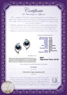 product certificate: FW-B-AAAA-67-E-Lilia
