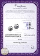 product certificate: FW-B-AAAA-67-E-Sharon