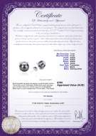 product certificate: FW-B-AAAA-78-E-Britt